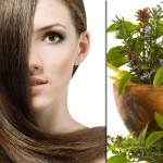 herbal-hair-loss-remedy1