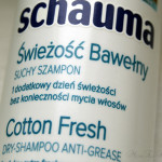 suchy-szampon (1)