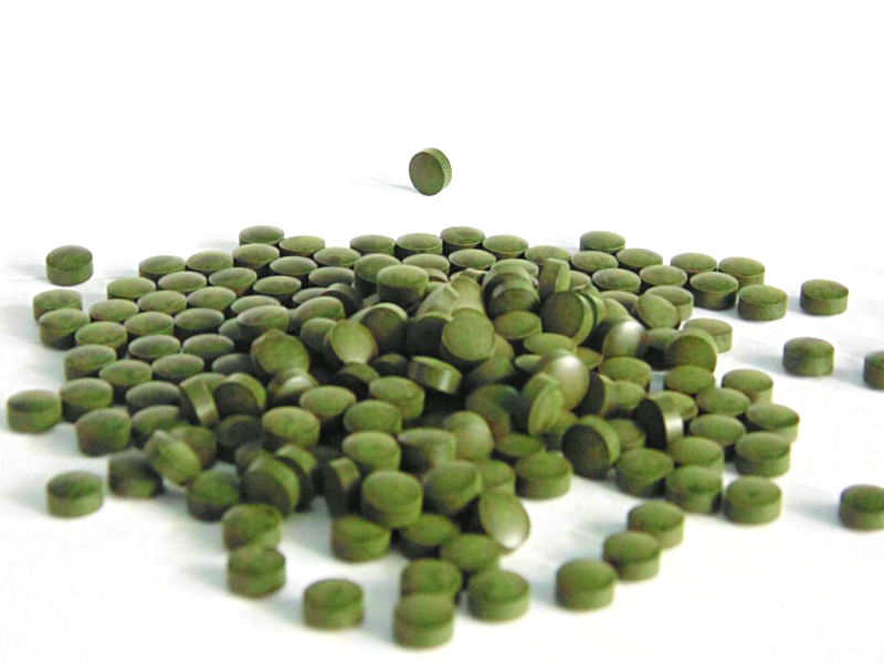 Chlorella – alga przyszłości!